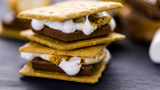 Photo of s'mores.